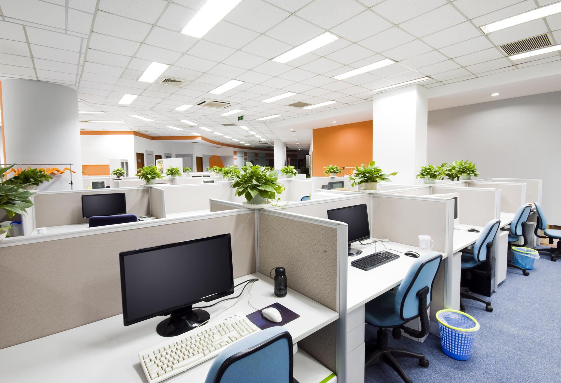 Top Commercial Office Cleaning In Ponsonby